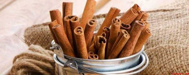桂皮和肉桂的区别是什么(桂皮外表面的颜色要浅些)