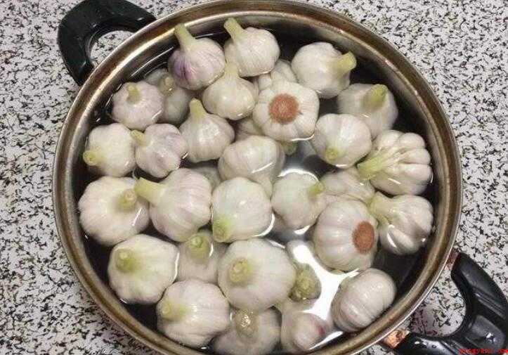 如何自己泡糖蒜