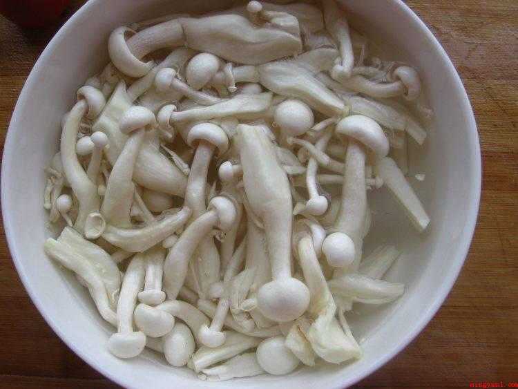 长条白蘑菇怎么做好吃(海鲜菇的做法_健康频道)