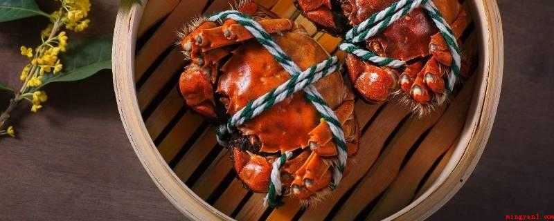 母螃蟹黄里面黑的是什么(蟹黄边上的黑色胶状物是螃蟹的胃,也被称作蟹尿包,坐落于背壳外)