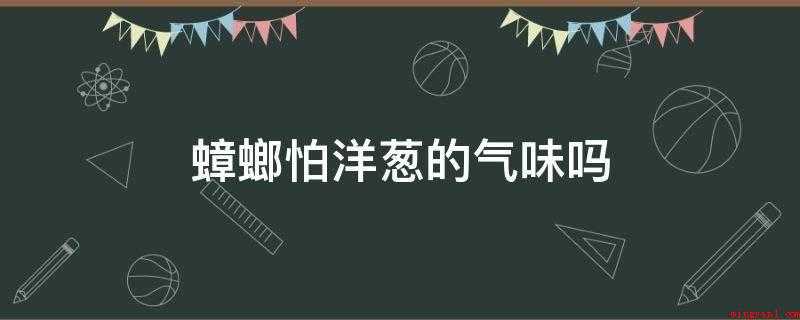 蟑螂怕洋葱的气味吗(蟑螂不仅不怕洋葱的味道,还可能吃洋葱)