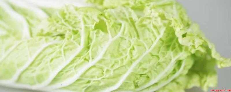 水白菜怎么炒