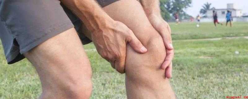 波灵盖是什么(膝盖,东北方言,被称为波灵盖)