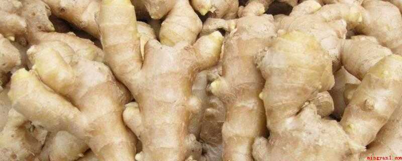 生姜可以冷冻保存吗(冷冻姜只要不变质就可以食用)