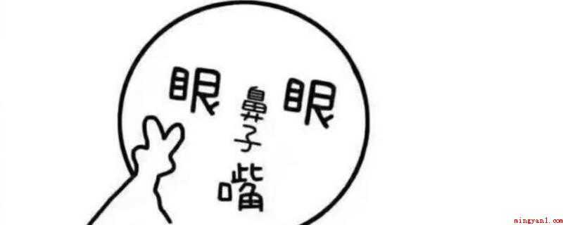 为什么人的眼鼻嘴几乎在同一平面(灵长类和啮齿动物有着共同的起源)