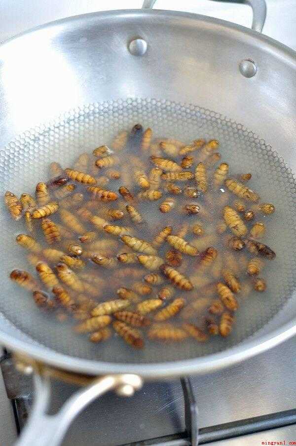 炒蚕蛹怎么做(香菜红辣椒切片,小火翻炒蚕蛹)