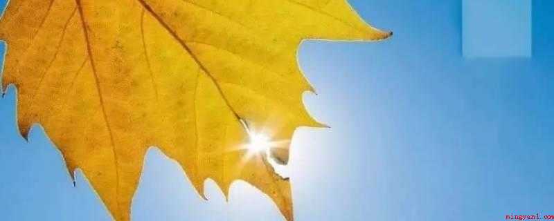 秋老虎分公母吗（秋老虎分公母,说白了的公办）