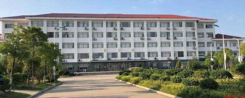 职高是什么（职业高中和普通高中有什么区别?）