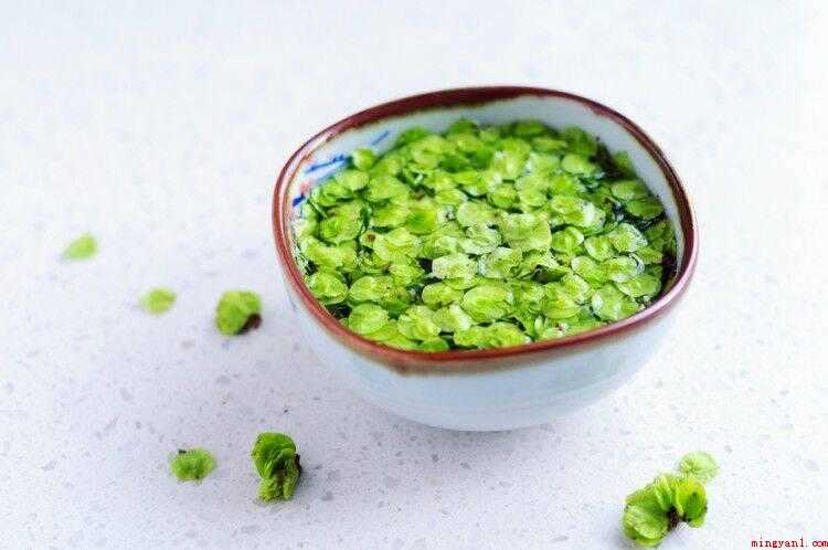 虾米粥怎么做（稻米淘洗后用清水泡浸40分钟,小米粒泛白。）
