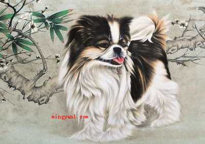 滔滔不绝是什么生肖?(侃侃而谈的意思是形容话许多,说起来没完没了)