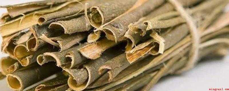 白柳树皮提取物的功效与作用(白柳皮提取物的功效与作用)