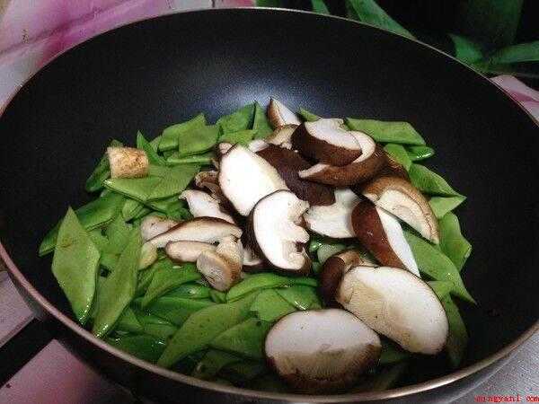 扁豆怎么炒(扁豆蛋白质的提取及其功能特性)