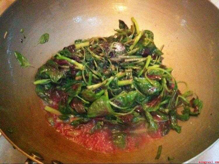 汗菜怎样做的好吃（常吃苋菜还能减肥瘦身强身健体）