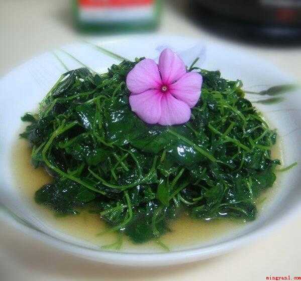 草头怎么炒的嫩又好吃(草头洗净后沥干水分,锅内倒油,油温9分热。)