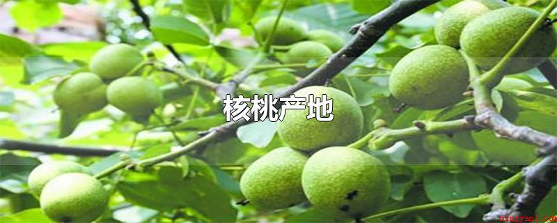 核桃产地(核桃在中国分布广泛,主要产于华北、东北和西北地区)