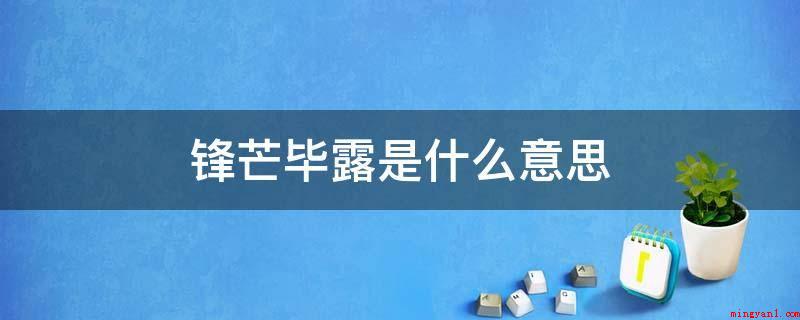 锋芒毕露（毕指完整,隐喻尖锐,敢于行动）