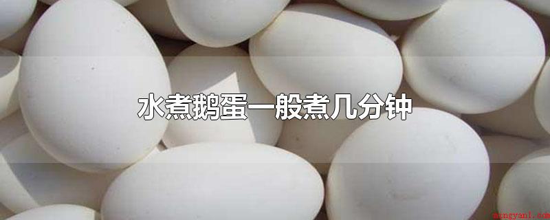 水煮鹅蛋一般煮几分钟（水煮鹅蛋一般煮10分钟上下）