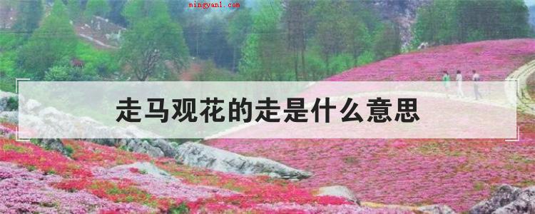 走马观花的走是什么意思（春风得意马蹄疾,一日看尽长安花）