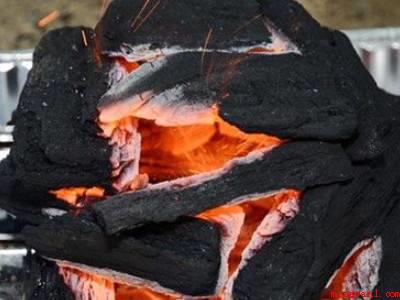 怎么生火烧炭（木炭的成分是什么?）