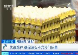 可生食鸡蛋销量大增是怎么回事 鸡蛋真的可以生吃吗 可生食鸡蛋销量大增是怎么回事(可生食鸡蛋销量大增是什么原因)