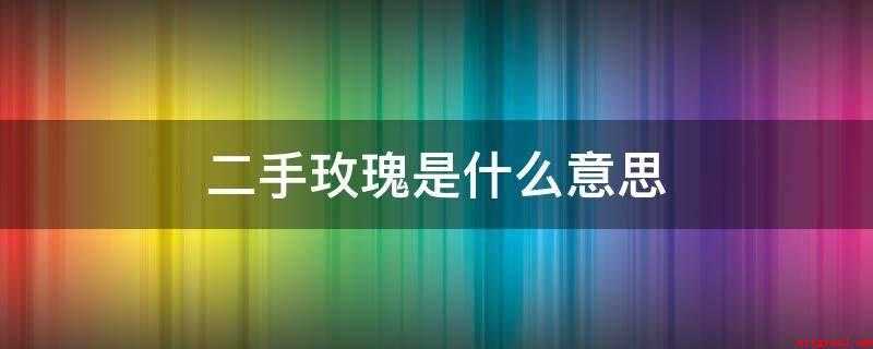 二手玫瑰是什么意思