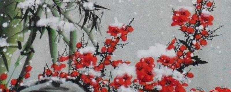 岁寒三友是哪三个