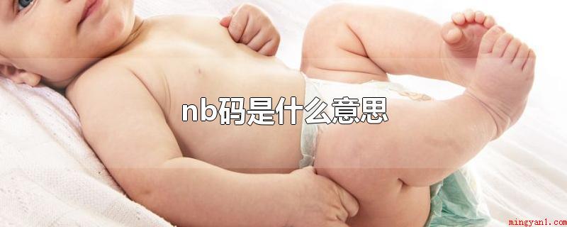 nb码是什么意思(nb码的意思是纸尿裤中最小的码数)