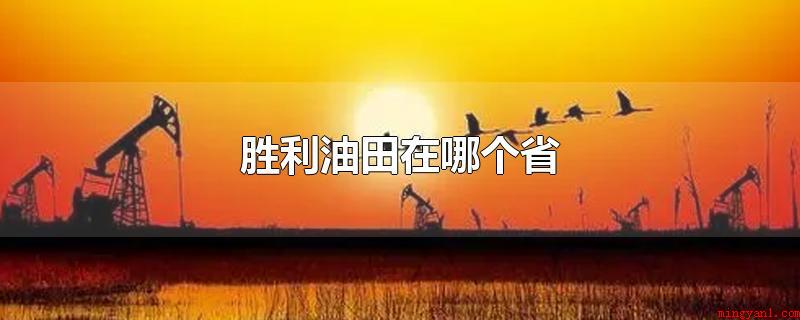 胜利油田在哪个省(胜利油田在哪个省_新闻中心)