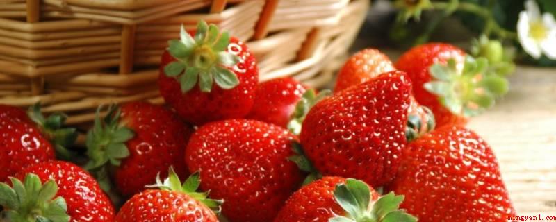 草莓不放冰箱可以放多久（草莓已经下水清洗过,或放在温度较高的环境中存放）