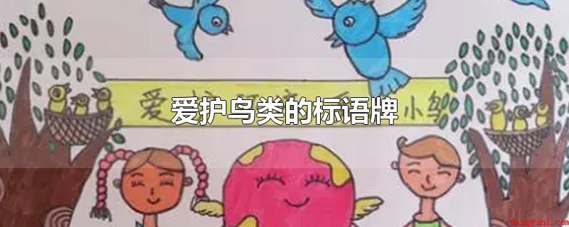 爱护鸟类的标语牌(爱护鸟类的标语牌上的内容有)
