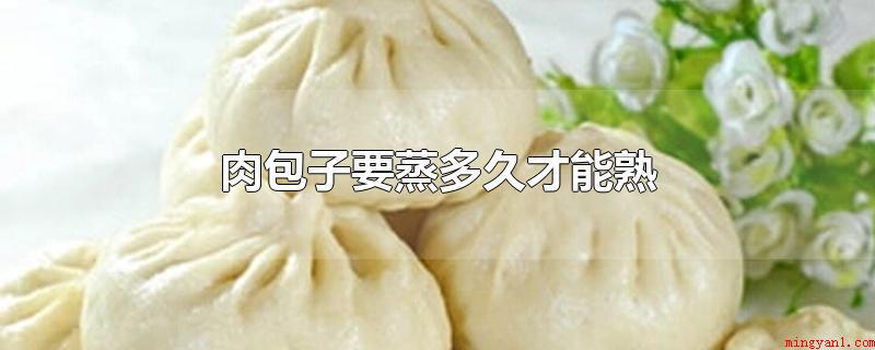 肉包子要蒸多久才能熟(肉包子肉美味,营养丰富)