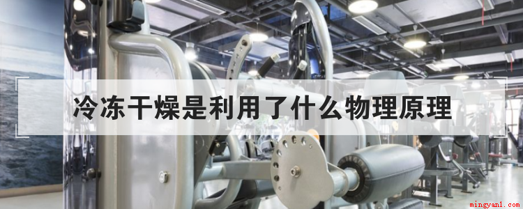 冷冻干燥是利用了什么物理原理(简略回应利用真空泵冷藏得到干躁的方式)
