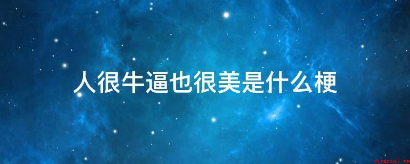 人很牛逼也很美是什么意思（人很牛逼也很美意思是说这个女生长很漂亮,因为找不到恰当的词来）