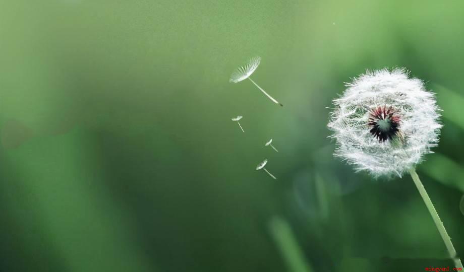 入伏祝福语有哪些?(三伏天气炎热,日子不好过,烦恼不去想,防暑不能忘记,朋友有关)
