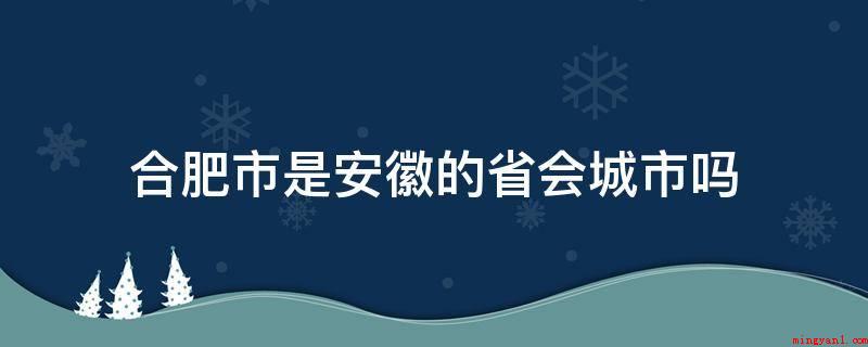 合肥市是安徽的省会城市吗