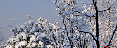 阳春白雪和下里巴人最初指的是什么?(阳春白雪,汉语成语,读音为y)