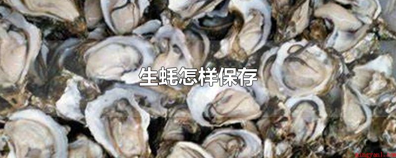 生蚝怎样保存（生蚝的保存方式有哪些?）