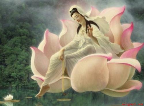 一花一世界的完整诗句是什么?(佛土生五色茎,一花一世界,一叶一如来)
