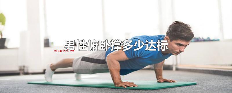 男性俯卧撑多少达标