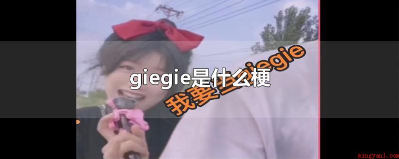 giegie是什么梗是什么意思（Giegie是什么意思）