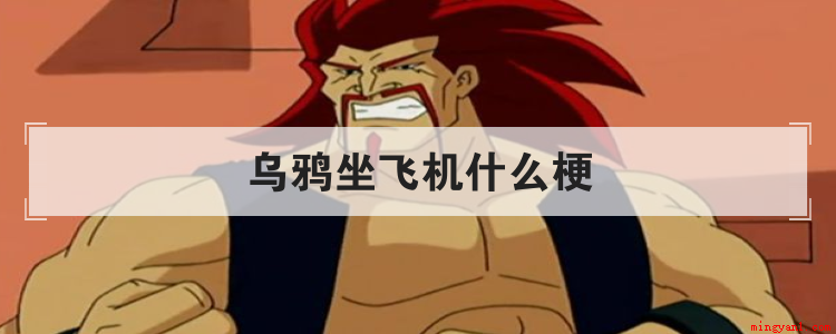 乌鸦坐飞机什么梗是什么梗(《成龙历险记》网络用语“乌鸦坐飞机”莫民奇妙的火了起来)