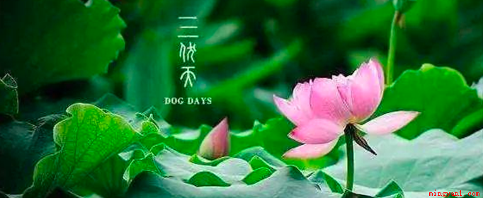 入伏祝福语有哪些?(三伏天气炎热,日子不好过,烦恼不去想,防暑不能忘记,朋友有关)