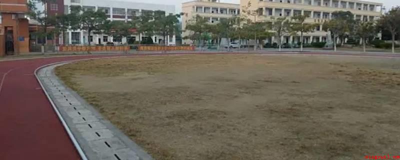 古雷第一中学算是漳浦县的吗