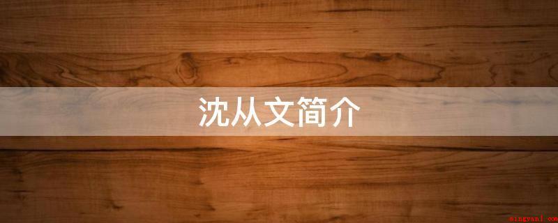 沈从文简介