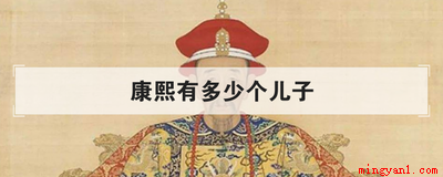 康熙有多少个儿子(康熙有55个孩子,20个女儿有记载)