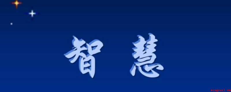 智慧分离(智慧表达智力器官的综合终极功能)