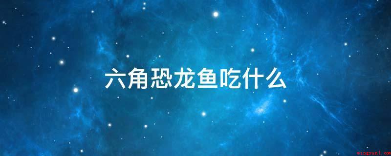 六角恐龙鱼吃什么(六角恐龙鱼是杂食动物,主要食物为水藻、蠕虫、无壳昆虫或小鱼和)