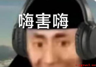 嗨害嗨是什么梗 嗨害嗨梗的出处是什么 嗨害嗨是什么梗(嗨害嗨是什么梗 快手主播/著名美食艺术家岛市老八视频开头固定)