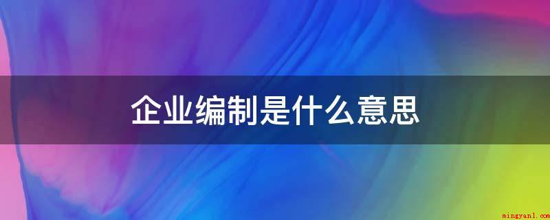 企业编制（企业编制通常在事业单位中的两种情况）