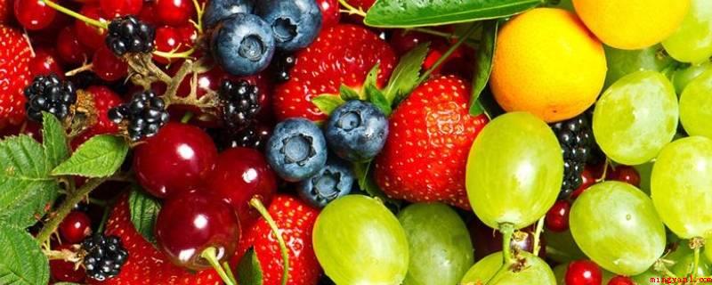 冬天水果有哪些水果（秋植采种、早春收砍,有丰富的糖分、水分、维生素、脂肪、蛋白质）